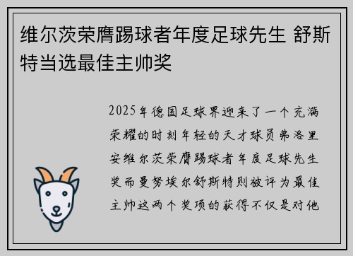 维尔茨荣膺踢球者年度足球先生 舒斯特当选最佳主帅奖